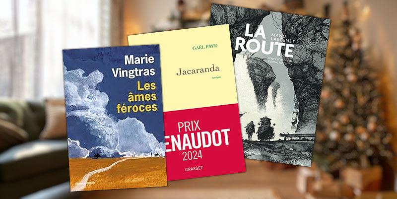 illustration de Quels sont les grands succès de l'année 2024 en librairie ?