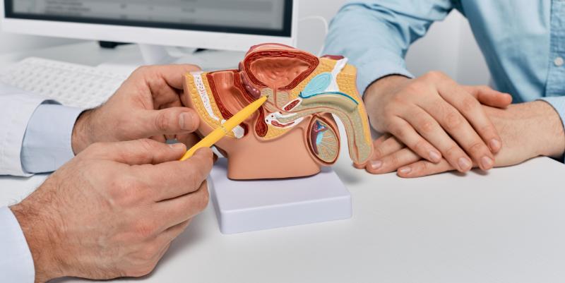 Cancer de la prostate : détection, traitements et avancées