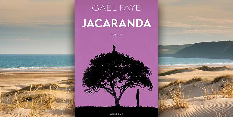 illustration de ''Jacaranda'' de Gaël Faye