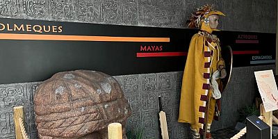 Le Palais du Cacao : un voyage gourmand près de Toulouse