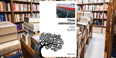 Le romancier dans ''Pilote automatique'', son 2ᵉ livre, raconte le quotidien d'un jeune livreur.