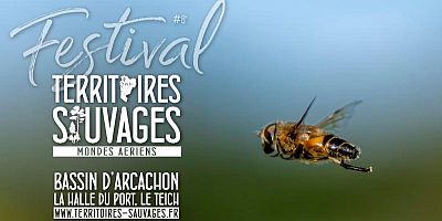 ''Territoires sauvages'' : des balades nature pour tous les publics au bassin d'Arcachon