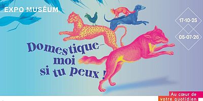 ''Domestique-moi si tu peux'' : une expo d'intérêt national au Muséum de Toulouse 